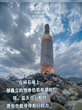 你的天空是什么样的? #与辉同行 #酒庄 #宁夏贺兰山东麓葡萄酒