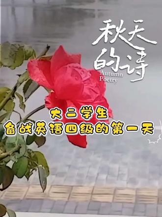 #学生党高效学习vlog 现在开始从零学英语,宝子们有没有方法呀,主包现在只知道一味的背单词,因为主包的词汇量只有几百个#有学习英语的好方法吗?