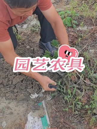 挖根松土,二齿农具#农具
