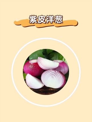 河南新鲜紫皮洋葱,现挖可生吃!#洋葱 #紫皮洋葱 #无限回购的宝藏单品 #在抖音入手的好东西