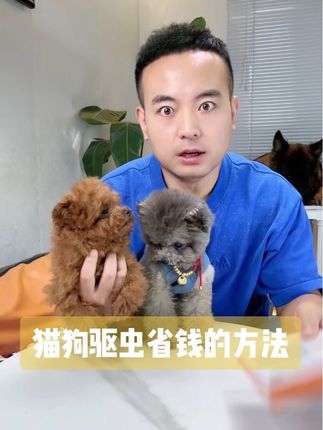 不要再多花冤枉钱给猫狗做驱虫了,也不要再一个月驱虫一次了。看完这个视频教学你应该都明白了!#新手养宠 #养狗经验分享 #狗狗驱虫