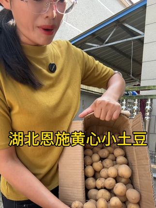 #土豆#恩施小土豆 #优质农产品 #超便宜超划算