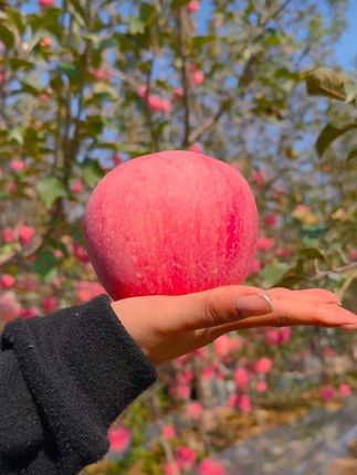 一副二到五人都可以玩,每副都有144张两颗塑料点子,玩起来轻松方便