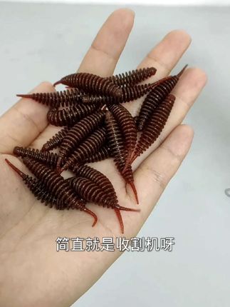 没想到这个泡泡针尾钓鳜鱼居然这么狠,简直就是收割机#路亚 #钓鱼的乐趣只有钓鱼人懂 #钓鱼人
