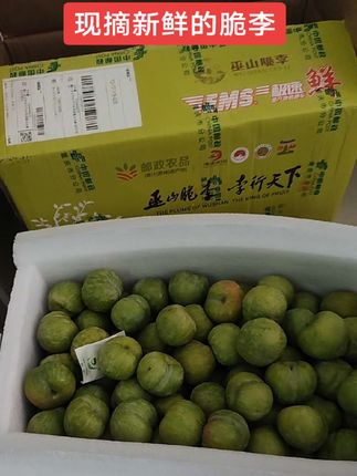 #巫山脆李 #现摘现发 ,口感非常好,健康绿色食品,没有任何添加剂,欢迎大家来品尝。