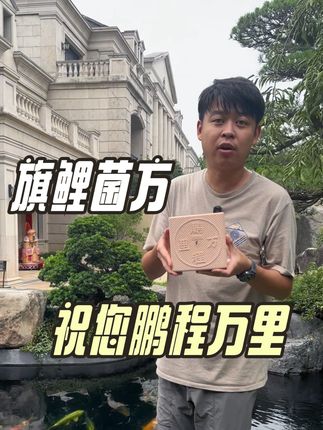 用菌方持续稳定水质 持续净水,可达一个月#锦鲤鱼池过滤 #鱼池过滤 #锦鲤鱼池 #养鱼 #庭院鱼池 降低养鱼门槛