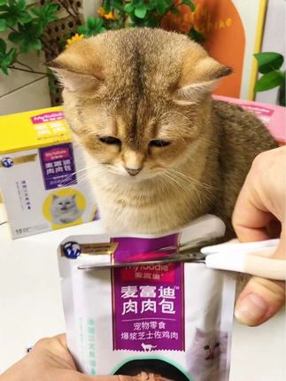 麦富迪肉肉包也来活动了,两箱才这个价,鲜嫩鸡丝打配浓郁高汤,猫咪一口吃肉一口喝汤,猫咪哐哐炫个不停#养猫新手 #麦富迪鸡丝肉肉包 #养猫经验分享 #好吃到停不下来
