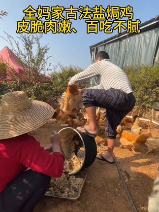 吃饭了吗?不知道煮什么,试下全爸家的古法盐焗鸡,果园养殖盐焗鸡就是好吃#我的乡村生活 #散养鸡 #古法盐焗鸡