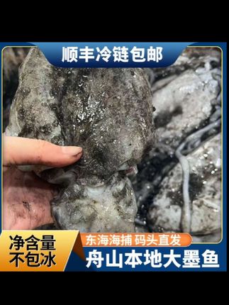 #海鲜美食 #只做高品质 【小云】(大号)野生墨鱼舟山新鲜海捕急冻发货顺丰直达 #源头厂家直供 #只做精品 #好产品一起分享