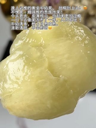 夏季的热带黄金牛奶果,个头更大,皮薄核小,吃起来更加过瘾!宛如黄金的果子,切开果肉晶莹剔透,一口下去像果冻布丁一样,入口即化 ,看的牛奶清香,树上自然成熟,清新清甜,不会齁甜#云南黄金果 #高端水果 #应季水果 #清甜
