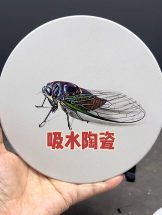 石头画 石头画,丙烯画,画错了可忆用砂纸打磨掉,从新画。试试看,我觉得还不错。#石头画 #画画 #陶瓷画