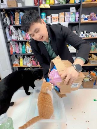 三种口味,慕斯口感的湿粮包,猫咪爱吃的同时还可以补水,只要12块9就可以带走35包#猫饭 #宠物零食#养猫人 #超便宜超划算 #新手养猫