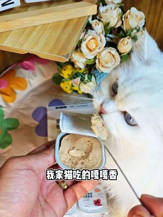 毛线卷卷机的新品餐盒,适口性刚刚好,我家猫吃得嘎嘎香#宠物零食 #萌宠出道计划 #养猫人 #猫零食 #吃货猫