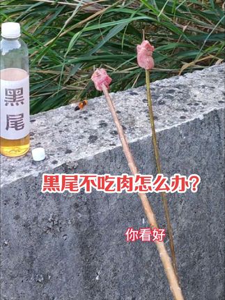 诱蜂水里面加一物,让诱过来的黑尾乖乖的吃肉#蜂岛主增香剂