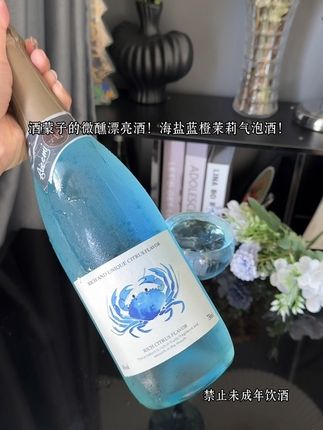酒蒙子的微醺漂亮酒!海盐蓝橙茉莉气泡酒!开瓶浓郁的蓝橙香气扑面而来!入口是水果的果香弥漫!还有一丝丝海盐的咸味儿!晶莹剔透的酒体!酸酸甜甜的!巨好喝!6度微醺!适合新手小白!姐妹局一起干杯!#仙女都在喝什么 #微醺时刻 #微醺 #气泡酒 #我超好喝