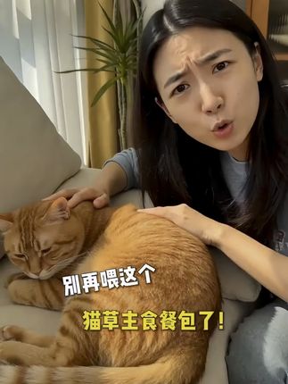 宠物用品赛道文案素材 - 如果你的猫也爱舔毛,这个视频一定要看!别让“舔进去的”变成“吐出来的”#养猫分享经验 #猫咪排毛 #萌宠好物 #炳宝 #主食餐包 - 小娜的猫猫狗狗作品