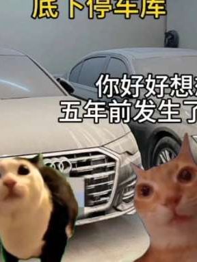 原来已经过去那么久了…#喵meme小剧场 #真实还原 #泪奔瞬间