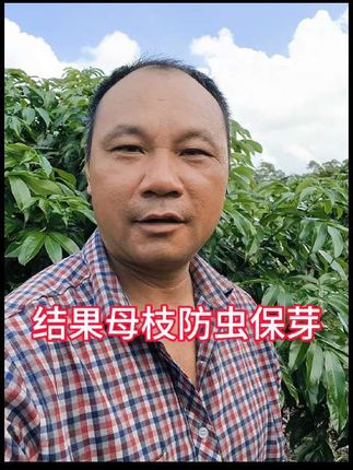 结果母枝保芽工作#新农人 #服务三农支持三农 #壮梢郎 #上热门