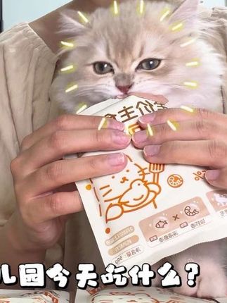 双拼爆珠主食餐包 幼儿园小朋友爱吃 #养猫新手 #养猫新手 #猫零食 #主食餐包 #餐包