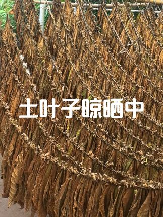 城里人没见过这个菜 有没有知道这是什么的没有#三农 #三农流量扶持计划 #土特产 #土特产走出大山