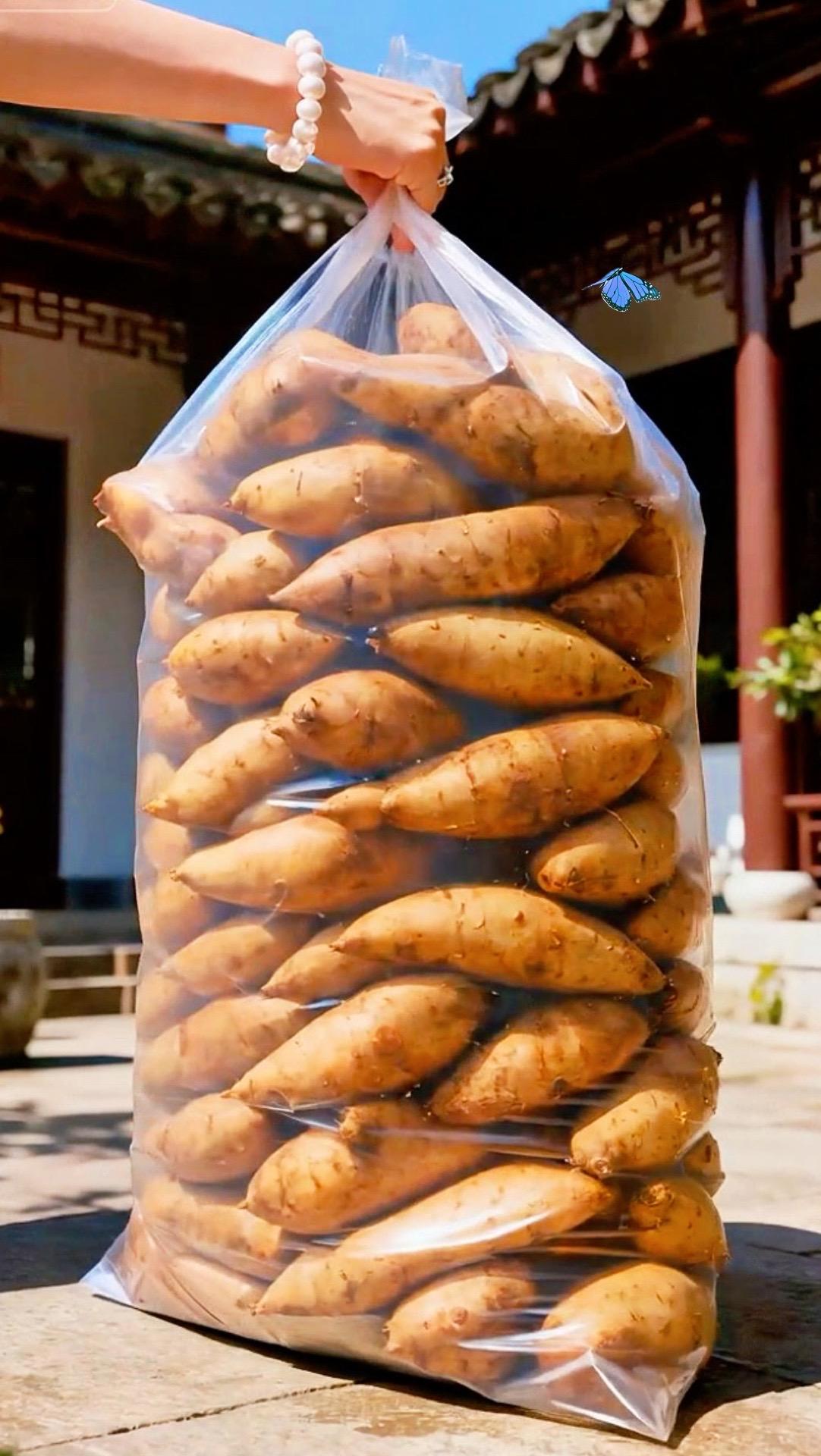 🍐这颗雪莲果,是藏在土里的清甜呀~  削开皮是水润的白,咬下去脆生生的,带着点梨的润、苹果的清爽,甜得淡淡的,像被晨露洗过一样。  切开泡在水里,夏天吃着冰爽解腻;秋冬揣在手里,凉丝丝的却不刺骨。连不爱吃甜的朋友都忍不住多咬两口——原来自然的甜,从不用浓墨重彩,就像这口脆嫩,安安静静的,却把清爽留满了舌尖~#雪莲果 #超便宜超划算 #好吃到停不下来 #优质农产品 #水果