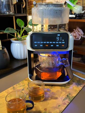 #萃茶机#养生壶 #煮茶器 茶饮机#召唤茶友