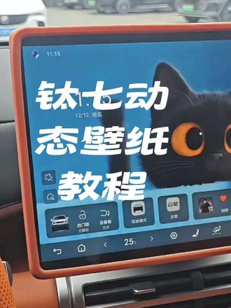 钛七设置动态壁纸教程来啦#动态小猫 #方程豹钛七