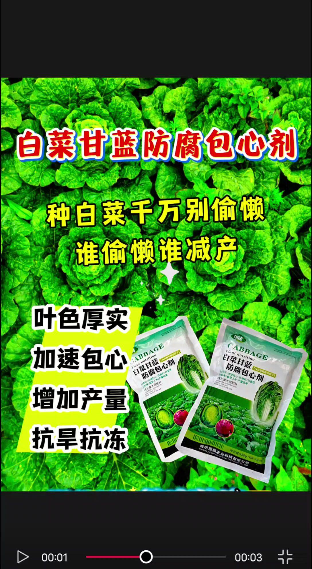 #白菜甘蓝防腐包心剂 #白菜种植 #三农种植