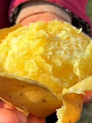 #定西土豆#黄心土豆 #土豆 #优质农产品