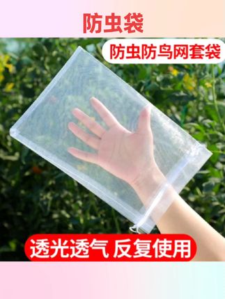 #好物推荐🔥 水果套袋防鸟防虫专用袋西红柿番茄葡萄草莓无花果网套袋保护袋子#防虫袋 #园艺 #园艺工具 #农作用品