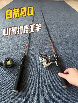 微物路亚,大乐趣!#路亚钓鱼 #微物路亚 #路亚翘嘴 #新手路亚 #路亚白条
