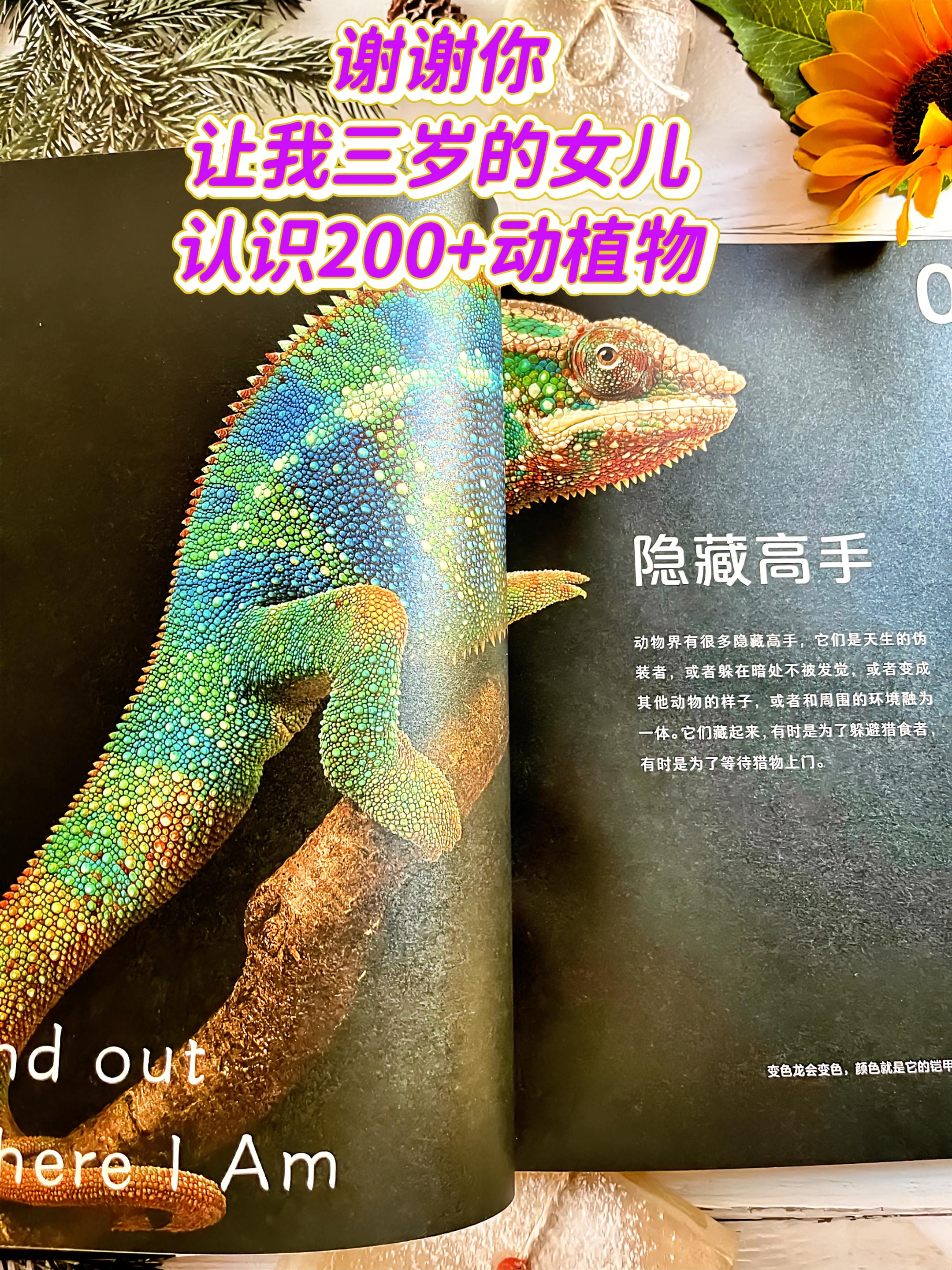 BBC纪录片级别画面,每一页都是视觉盛宴,🔥这简直就是足不出户带娃逛了博物馆、植物园、海洋馆、动物园,妥妥的低成带娃见世面!#童书推荐 #儿童绘本 #儿童读物 #儿童科普