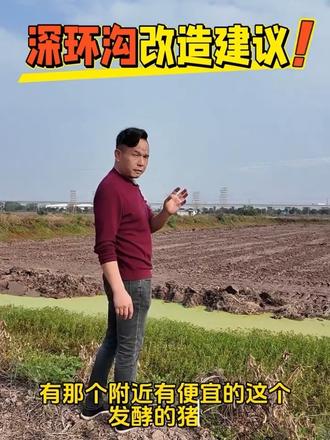 深环沟出苗晚,错过好价销售期!
该如何改造,才能早出苗,多出苗?
#环沟塘改平底塘 #深环沟养虾弊端#稻田养虾 #龙虾苗养殖 #虾塘改造