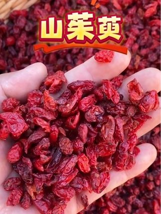 秦岭山萸肉#山萸肉 #山萸肉中药材 #健康食品 #煲汤食材 #山萸肉泡水喝的功效作用
