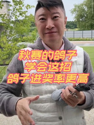 蛋白粉对鸽子有什么作用?#信鸽赛鸽 #赛鸽比赛 #职业赛鸽