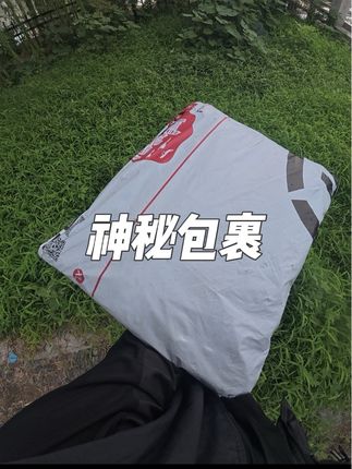 收到一个神秘包裹 #逆光同聚 #跑腿小哥#顺心前行 #众包骑手 #黑骑士更高端的外卖车@顺丰同城骑士