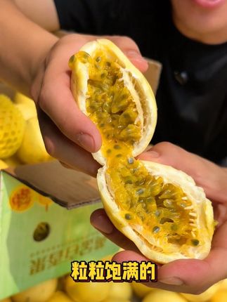 香甜爆汁!可以直接吃,可以泡水喝,就是咱家的钦蜜九号黄金百香果#钦蜜九号百香果 #新鲜采摘