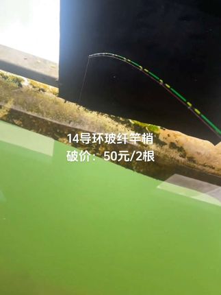 兄弟们,你们要的夜钓专用竿稍来了哈!它是整竿稍都涂了荧光漆,只要夜晚微光的时候,它的荧光就特别的亮,能让我们及时的发现鱼讯啊!而且它还是用的高吨位的玻纤材质,韧性更强,也不容易断。插口也是做的全系列的,所有的筏竿都能通用,喜欢夜钓的大哥赶紧去拍!
