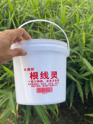 #种植技术 #生姜种植 一亩地一套