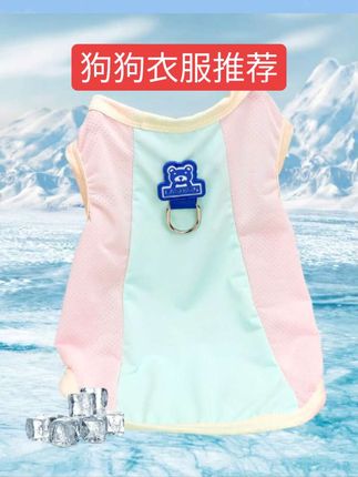 #好物 狗狗衣服凉凉衣夏季薄款泰迪比熊博美约克夏宠物降温夏天小狗背心#好物推荐 #萌宠好物 #萌宠出道 #好东西一起分享