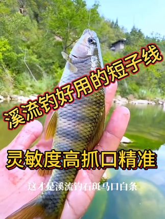 这才是溪流钓石斑马口白条好用的子线,单钩子线总长4厘米,子线短,灵敏度更高。#子线单钩 #溪流钓短子线 #短子线 #溪流钓