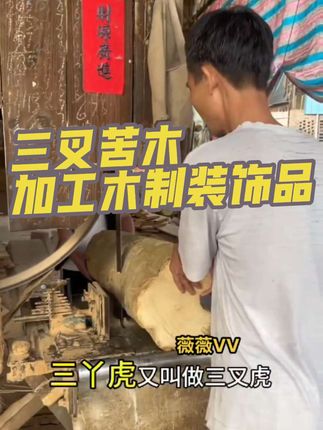 #薇薇VV 三叉虎【又名】 #三丫苦 #三叉虎木有什么作用 可用来做木葫芦挂件, 手串, 钥匙扣吊坠等,老树三叉虎木葫芦摆件 #上热门 #好物推荐@抖音小助手