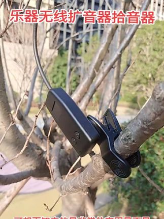 乐器无线扩音器拾音器,葫芦丝巴乌二胡唢呐竹笛洞箫萨克斯小提琴