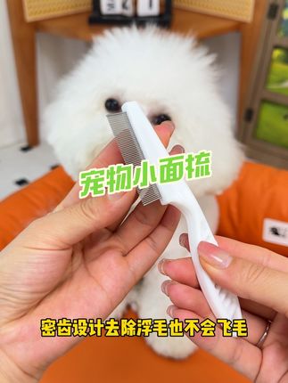这便宜又好用的小面梳养宠家庭备一个很方便!#萌宠好物 #强烈推荐 #宠物面梳 #宠物梳子