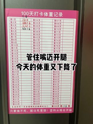#重要事情说三遍 #100天瘦身计划表 #继续努力