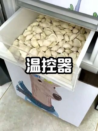 #温控器 #冰箱好物 #实用好物