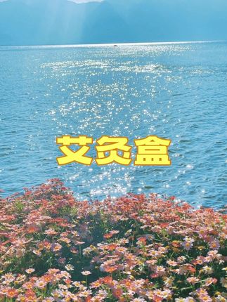 #养生保健 #调理身体 #艾灸养生保健 #排寒祛湿 #艾灸盒