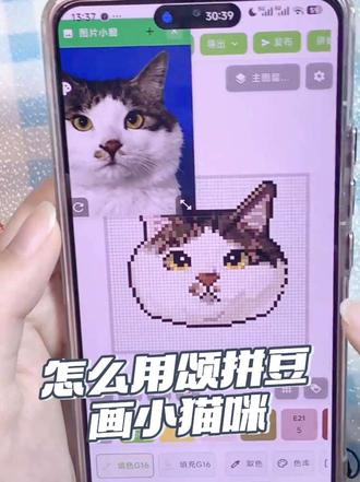 怎么用颂拼豆画小猫客单 上一条限流了再发一次
#抖音第0届拼豆大赛 #我的拼豆日记 #颂拼豆 #拼豆图纸 #青年创作者成长计划