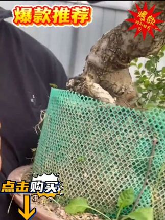 盆栽盆景盆花盆防漏网垫种花水孔排水孔漏水口滤水垫花盆底孔垫网#花盆#好物推荐🔥 #生活碎片 #园林景观 #
