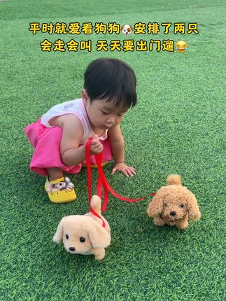 平时都喜欢看狗狗,爸爸带回来两只,会跑会叫摇尾巴还会点头,真的好可爱~宝宝爱不释手,走哪带哪#宝宝玩具 #哄娃神器 #母婴好物